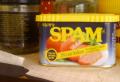 What is email spam and what does it mean?